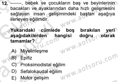 İnsan Davranışı Ve Sosyal Çevre 1 Dersi Ara Sınavı Deneme Sınav Soruları 12. Soru