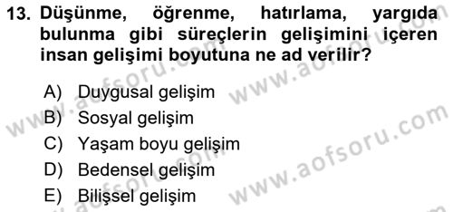 İnsan Davranışı Ve Sosyal Çevre 1 Dersi 2019 - 2020 Yılı (Vize) Ara Sınav Soruları 13. Soru