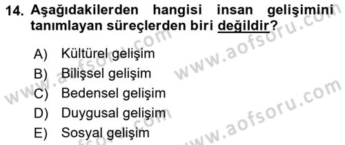 İnsan Davranışı Ve Sosyal Çevre 1 Dersi Ara Sınavı Deneme Sınav Soruları 14. Soru