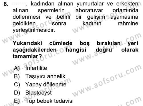 İnsan Davranışı Ve Sosyal Çevre 1 Dersi Ara Sınavı Deneme Sınav Soruları 8. Soru
