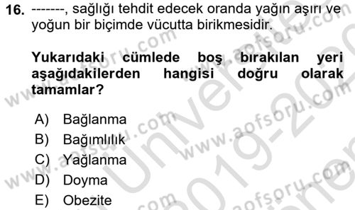 İnsan Davranışı Ve Sosyal Çevre 1 Dersi 2019 - 2020 Yılı (Final) Dönem Sonu Sınav Soruları 16. Soru