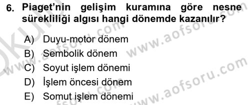 İnsan Davranışı Ve Sosyal Çevre 1 Dersi 2020 - 2021 Yılı Yaz Okulu Sınav Soruları 6. Soru