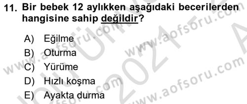 İnsan Davranışı Ve Sosyal Çevre 1 Dersi 2021 - 2022 Yılı (Vize) Ara Sınav Soruları 11. Soru