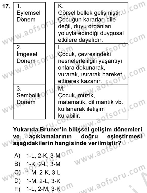 İnsan Davranışı Ve Sosyal Çevre 1 Dersi Ara Sınavı Deneme Sınav Soruları 17. Soru