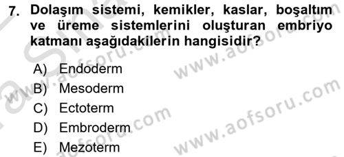İnsan Davranışı Ve Sosyal Çevre 1 Dersi 2021 - 2022 Yılı (Vize) Ara Sınav Soruları 7. Soru