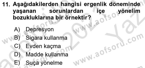 İnsan Davranışı Ve Sosyal Çevre 1 Dersi 2021 - 2022 Yılı Yaz Okulu Sınav Soruları 11. Soru