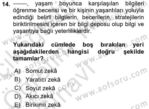 İnsan Davranışı Ve Sosyal Çevre 1 Dersi 2021 - 2022 Yılı Yaz Okulu Sınav Soruları 14. Soru