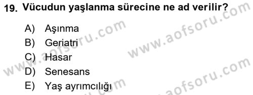 İnsan Davranışı Ve Sosyal Çevre 1 Dersi 2021 - 2022 Yılı Yaz Okulu Sınav Soruları 19. Soru
