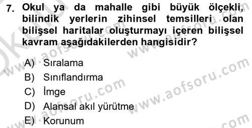 İnsan Davranışı Ve Sosyal Çevre 1 Dersi 2021 - 2022 Yılı Yaz Okulu Sınav Soruları 7. Soru