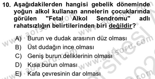İnsan Davranışı Ve Sosyal Çevre 1 Dersi Ara Sınavı Deneme Sınav Soruları 10. Soru