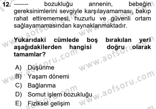 İnsan Davranışı Ve Sosyal Çevre 1 Dersi 2022 - 2023 Yılı Yaz Okulu Sınav Soruları 12. Soru