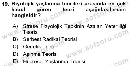 İnsan Davranışı Ve Sosyal Çevre 1 Dersi 2022 - 2023 Yılı Yaz Okulu Sınav Soruları 19. Soru