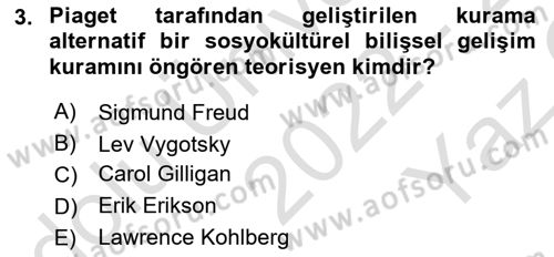 İnsan Davranışı Ve Sosyal Çevre 1 Dersi 2022 - 2023 Yılı Yaz Okulu Sınav Soruları 3. Soru