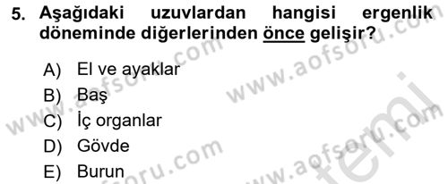 İnsan Davranışı Ve Sosyal Çevre 1 Dersi 2022 - 2023 Yılı Yaz Okulu Sınav Soruları 5. Soru