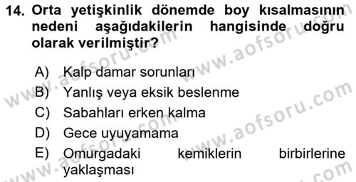 İnsan Davranışı Ve Sosyal Çevre 1 Dersi 2023 - 2024 Yılı (Final) Dönem Sonu Sınav Soruları 14. Soru