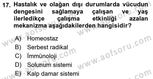 İnsan Davranışı Ve Sosyal Çevre 1 Dersi 2023 - 2024 Yılı (Final) Dönem Sonu Sınav Soruları 17. Soru