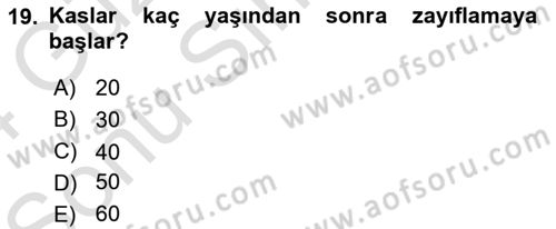 İnsan Davranışı Ve Sosyal Çevre 1 Dersi 2023 - 2024 Yılı (Final) Dönem Sonu Sınav Soruları 19. Soru