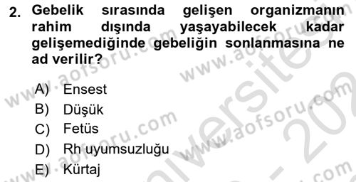 İnsan Davranışı Ve Sosyal Çevre 1 Dersi 2023 - 2024 Yılı (Final) Dönem Sonu Sınav Soruları 2. Soru