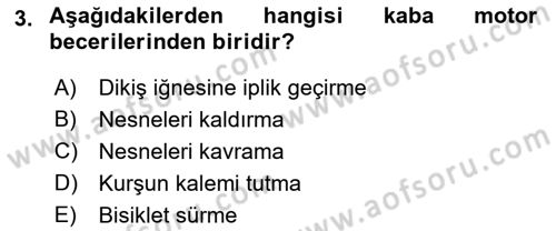 İnsan Davranışı Ve Sosyal Çevre 1 Dersi 2023 - 2024 Yılı (Final) Dönem Sonu Sınav Soruları 3. Soru