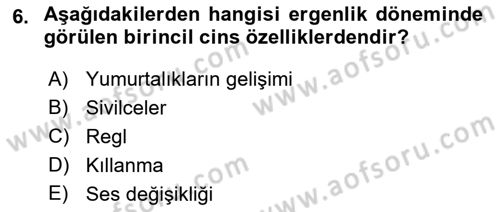 İnsan Davranışı Ve Sosyal Çevre 1 Dersi 2023 - 2024 Yılı (Final) Dönem Sonu Sınav Soruları 6. Soru