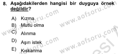 İnsan Davranışı Ve Sosyal Çevre 1 Dersi 2023 - 2024 Yılı (Final) Dönem Sonu Sınav Soruları 8. Soru