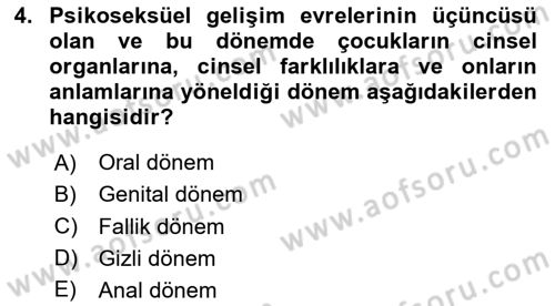İnsan Davranışı Ve Sosyal Çevre 1 Dersi 2023 - 2024 Yılı Yaz Okulu Sınav Soruları 4. Soru