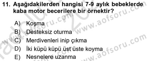 İnsan Davranışı Ve Sosyal Çevre 1 Dersi 2024 - 2025 Yılı (Vize) Ara Sınav Soruları 11. Soru
