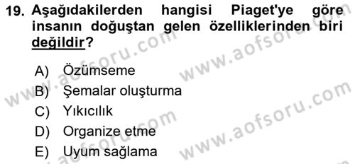 İnsan Davranışı Ve Sosyal Çevre 1 Dersi 2024 - 2025 Yılı (Vize) Ara Sınav Soruları 19. Soru