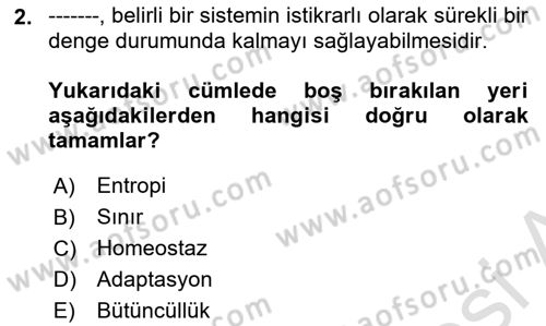 İnsan Davranışı Ve Sosyal Çevre 1 Dersi 2024 - 2025 Yılı (Vize) Ara Sınav Soruları 2. Soru