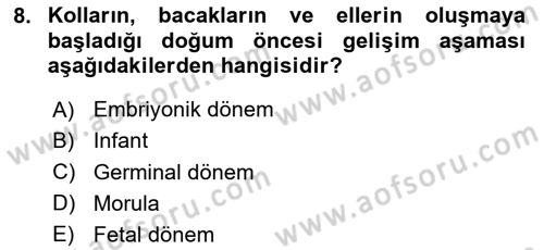 İnsan Davranışı Ve Sosyal Çevre 1 Dersi 2024 - 2025 Yılı (Vize) Ara Sınav Soruları 8. Soru