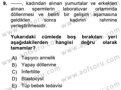 İnsan Davranışı Ve Sosyal Çevre 1 Dersi 2024 - 2025 Yılı (Vize) Ara Sınav Soruları 9. Soru