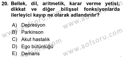 İnsan Davranışı Ve Sosyal Çevre 1 Dersi 2024 - 2025 Yılı (Final) Dönem Sonu Sınav Soruları 20. Soru