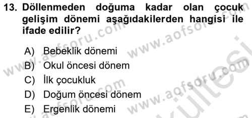 İnsan Davranışı Ve Sosyal Çevre 1 Dersi 2025 - 2026 Yılı (Vize) Ara Sınav Soruları 13. Soru