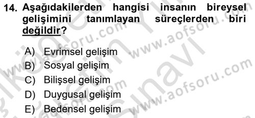 İnsan Davranışı Ve Sosyal Çevre 1 Dersi 2025 - 2026 Yılı (Vize) Ara Sınav Soruları 14. Soru
