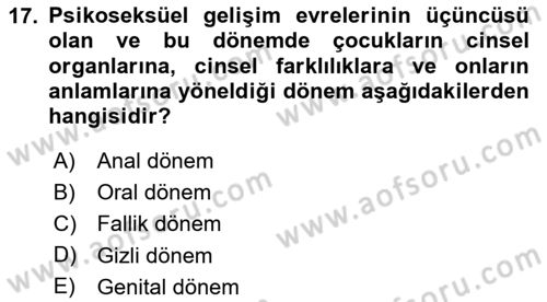 İnsan Davranışı Ve Sosyal Çevre 1 Dersi 2025 - 2026 Yılı (Vize) Ara Sınav Soruları 17. Soru