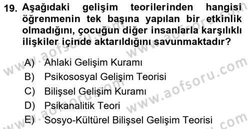 İnsan Davranışı Ve Sosyal Çevre 1 Dersi 2025 - 2026 Yılı (Vize) Ara Sınav Soruları 19. Soru