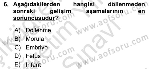 İnsan Davranışı Ve Sosyal Çevre 1 Dersi 2025 - 2026 Yılı (Vize) Ara Sınav Soruları 6. Soru