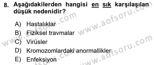 İnsan Davranışı Ve Sosyal Çevre 1 Dersi 2025 - 2026 Yılı (Vize) Ara Sınav Soruları 8. Soru