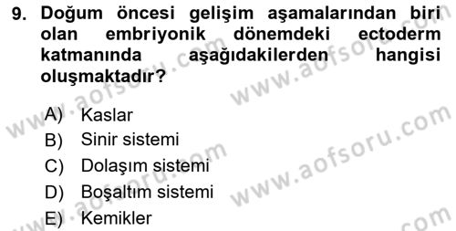 İnsan Davranışı Ve Sosyal Çevre 1 Dersi 2025 - 2026 Yılı (Vize) Ara Sınav Soruları 9. Soru