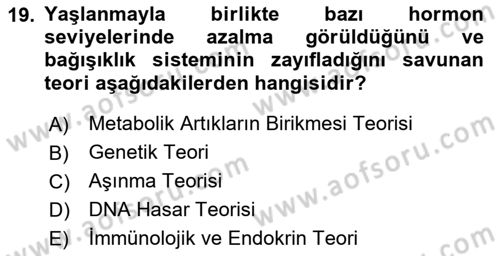 İnsan Davranışı Ve Sosyal Çevre 1 Dersi 2025 - 2026 Yılı (Final) Dönem Sonu Sınav Soruları 19. Soru