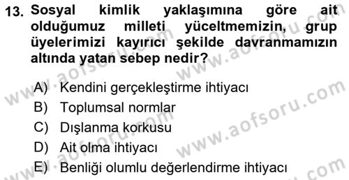 İnsan Davranışı Ve Sosyal Çevre 2 Dersi 2017 - 2018 Yılı (Vize) Ara Sınav Soruları 13. Soru