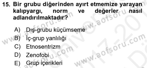 İnsan Davranışı Ve Sosyal Çevre 2 Dersi 2017 - 2018 Yılı (Vize) Ara Sınav Soruları 15. Soru