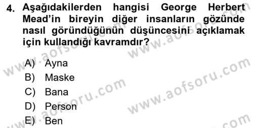İnsan Davranışı Ve Sosyal Çevre 2 Dersi 2017 - 2018 Yılı (Vize) Ara Sınav Soruları 4. Soru