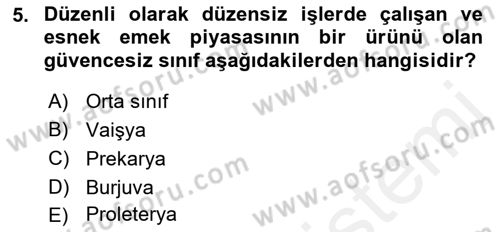 İnsan Davranışı Ve Sosyal Çevre 2 Dersi 2017 - 2018 Yılı (Vize) Ara Sınav Soruları 5. Soru