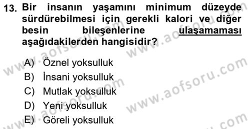 İnsan Davranışı Ve Sosyal Çevre 2 Dersi 2017 - 2018 Yılı (Final) Dönem Sonu Sınav Soruları 13. Soru