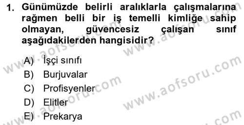 İnsan Davranışı Ve Sosyal Çevre 2 Dersi 2018 - 2019 Yılı (Vize) Ara Sınav Soruları 1. Soru