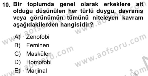 İnsan Davranışı Ve Sosyal Çevre 2 Dersi 2018 - 2019 Yılı Yaz Okulu Sınav Soruları 10. Soru
