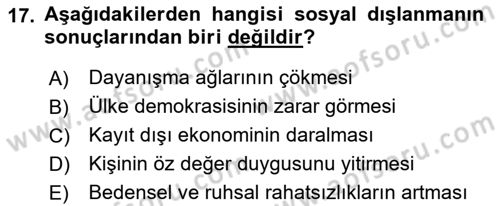 İnsan Davranışı Ve Sosyal Çevre 2 Dersi 2018 - 2019 Yılı Yaz Okulu Sınav Soruları 17. Soru