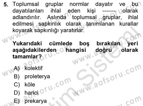 İnsan Davranışı Ve Sosyal Çevre 2 Dersi 2021 - 2022 Yılı (Vize) Ara Sınav Soruları 5. Soru