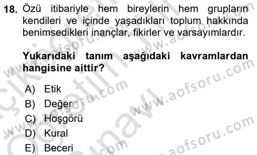 İnsan Davranışı Ve Sosyal Çevre 2 Dersi 2021 - 2022 Yılı Yaz Okulu Sınav Soruları 18. Soru